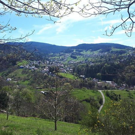 Ferienwohnung Schwarzwaldblick Bühlertal Exterior foto